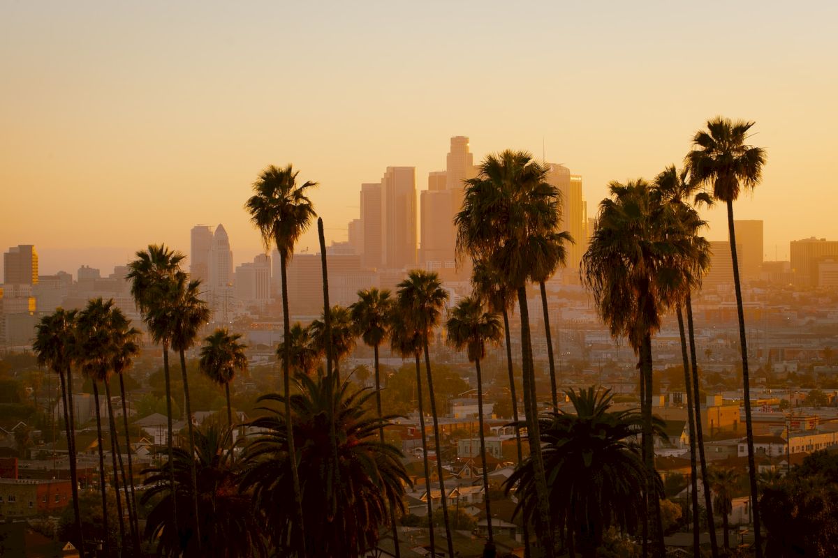 A city skyline at sunset with palm trees in the foreground.