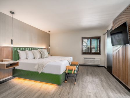 A wide-angle view of a hotel room with a green and wood accent wall, a large bed, a flat-screen TV, and a window with blinds.